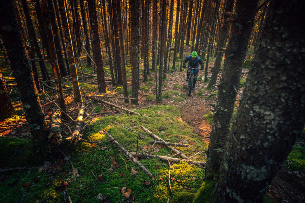 A guide to safe outdoor activities during the coronavirus pandemic