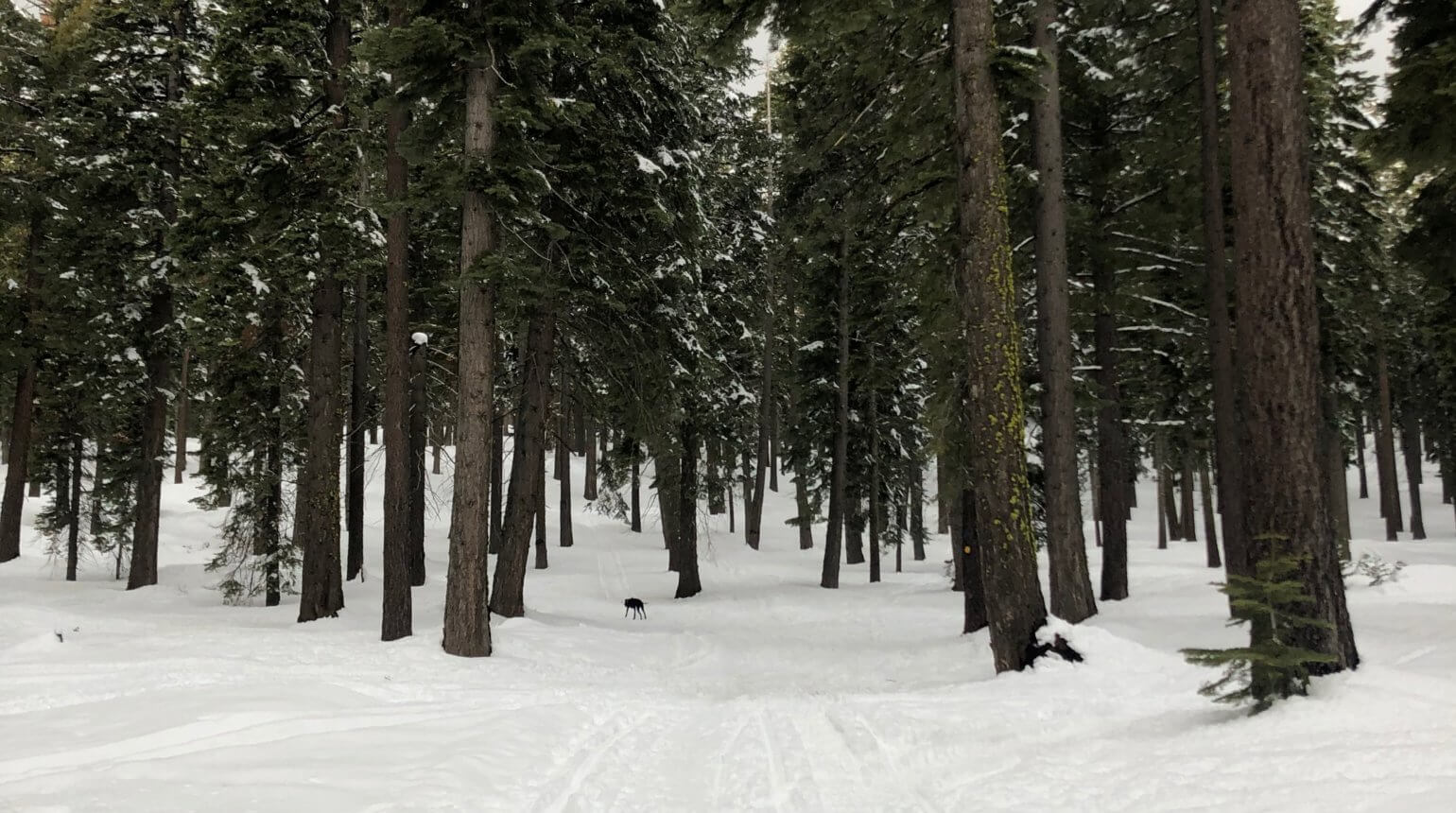 5 ways to stay ahead of SAD