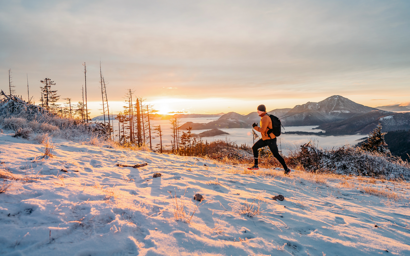 The Truth About Carbohydrates