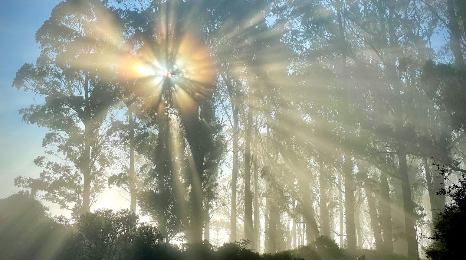 How Osmo Ambassadors Handle Stress